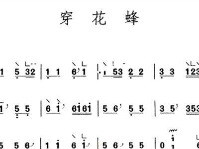 穿花蜂古筝视频,古典韵味与现代旋律的完美融合