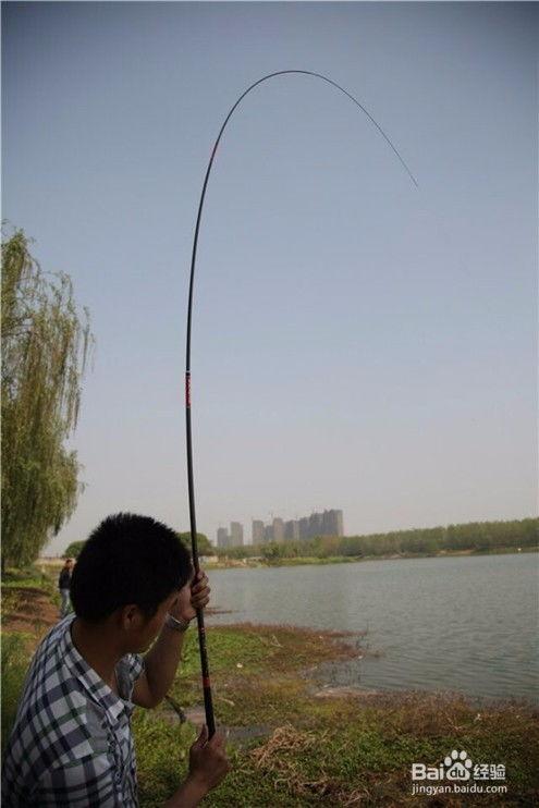 手竿溜鱼视频,视频教学带你轻松掌握