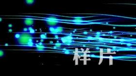 拉丁舞背景视频,激情四溢的舞蹈艺术与历史传承