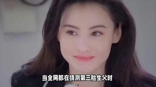 张柏芝视频种子,重温经典瞬间，感受女神魅力