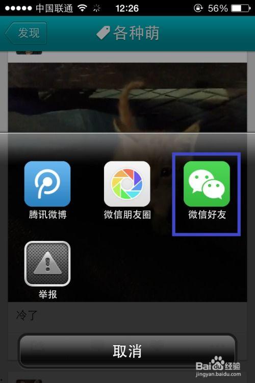 cF2视频共享视频