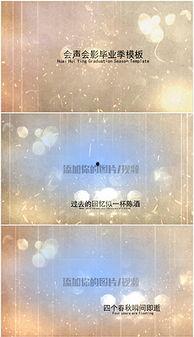 十年视频下载,回顾与展望