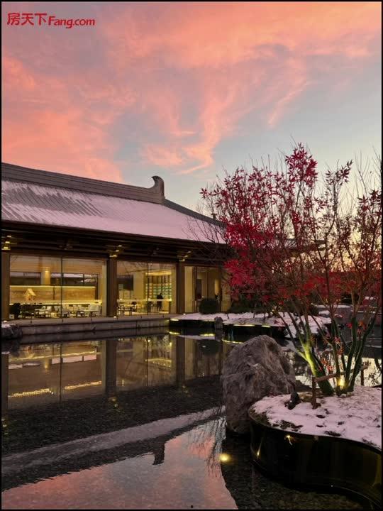 府视频,揭秘历史风云，探寻时代印记