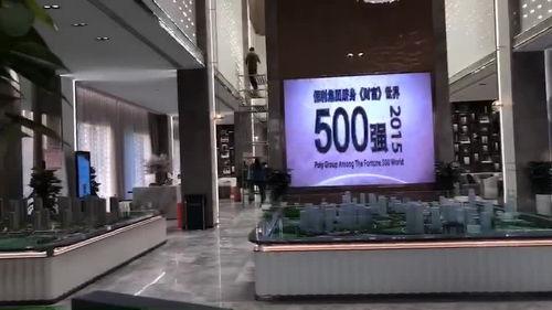 府视频,揭秘历史风云,探寻时代印记