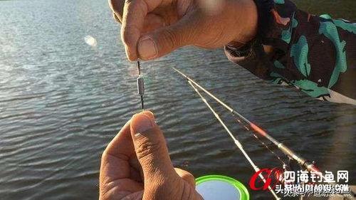 怎样钓鱼初学者视频,视频教程带你轻松入门
